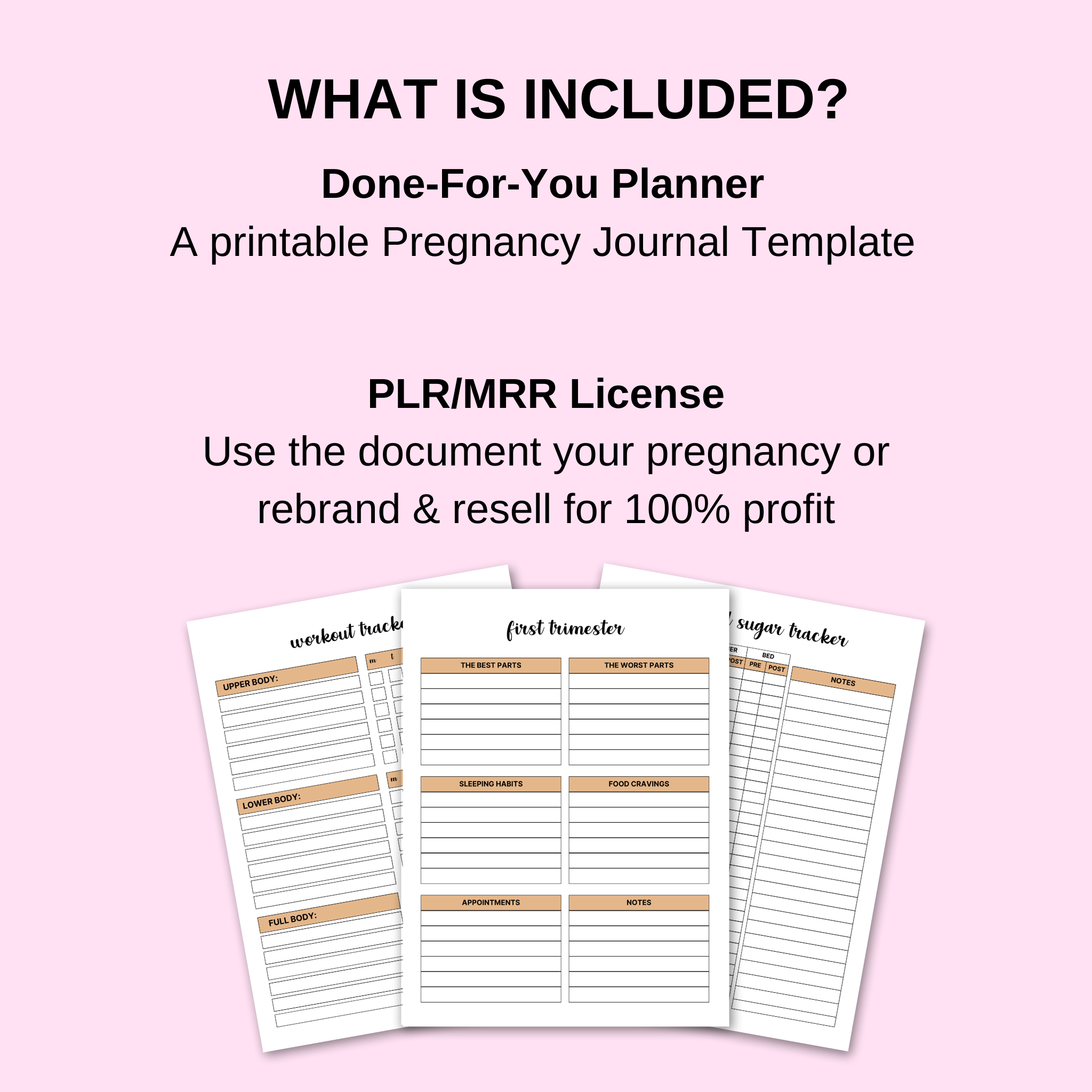 PLR Pregnancy Journal Template
