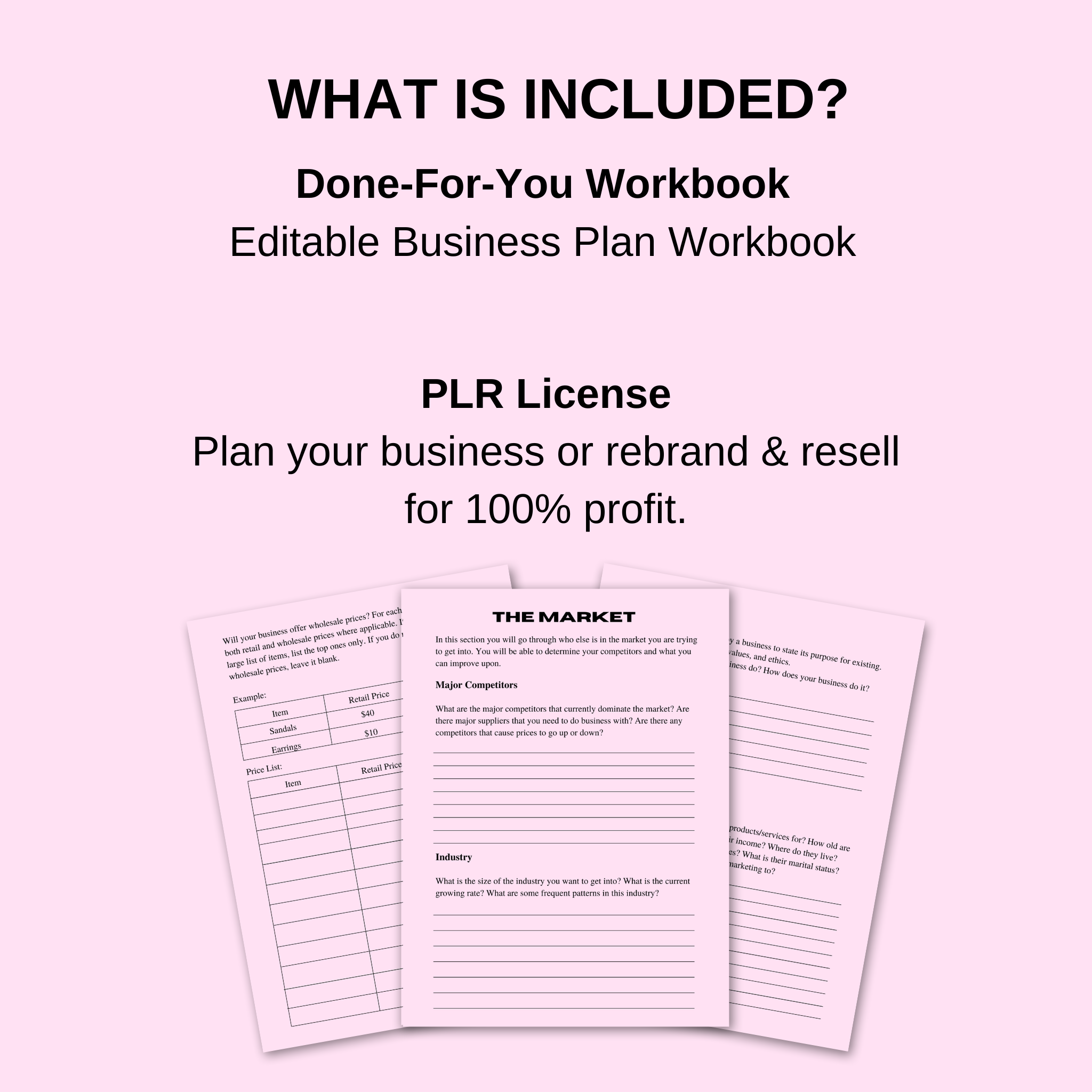 PLR Business Plan Workbook
