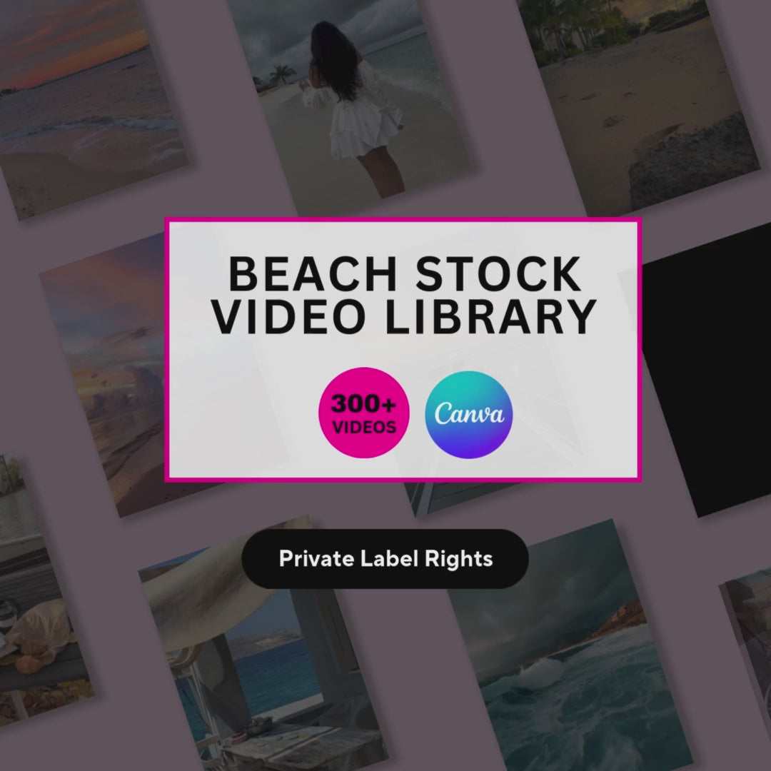 Beach Stock Video Library
